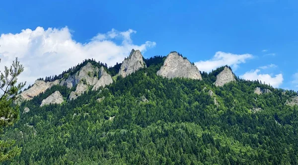 Trzy Korony 3つのクラウン マッシフに属する セントラル ピニニーで最も高いピーク ポーランドの山 — ストック写真