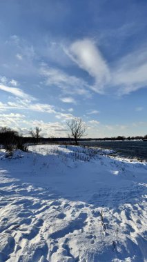 Karla kaplı ağaçlarla kaplı kış manzarası, Polonya 'da Narew nehri