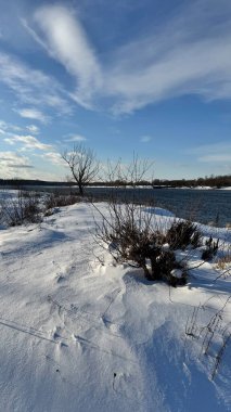 Karla kaplı ağaçlarla kaplı kış manzarası, Polonya 'da Narew nehri
