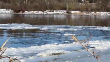 Kışın Narew Nehri 'nde, yüzen buz kütleleri yakındır. Nehir manzarası ve donmuş sahili fırçalayan dalgalı buz kütleleri.