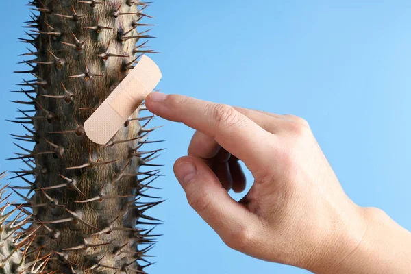 Finger Der Hand Nähern Sich Den Stacheln Der Kakteen Die — Stockfoto