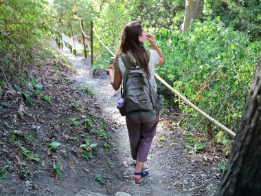 Sırt çantalı genç bir kadın yazın güneşli bir günde ormanda rahatça dolaşır.