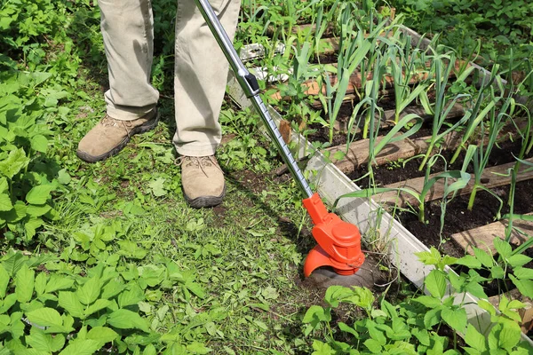 Camino Siega Del Hombre Lado Cama Del Jardín Usando Trimmer — Foto de Stock