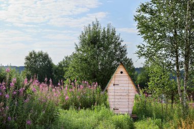 Güneşli bir günde doğadaki tuvaletin fotokopisi çekilecek.