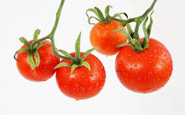 Plusieurs Tomates Rouges Mûres Aux Branches Vertes Gouttes Eau Gros — Photo