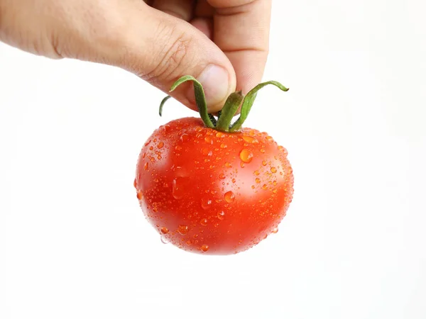 Gros Plan Doigts Tenir Tomate Rouge Pour Les Tiges Vertes — Photo