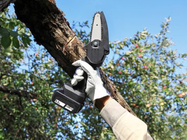 Hand holds light chain saw with battery to trim broken branch of an apple tree, in sunny day clipart