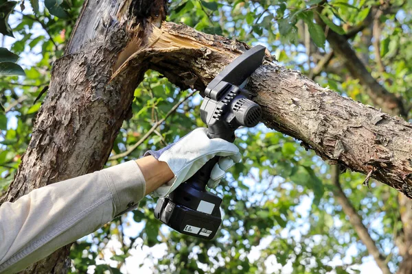 Hand Hält Lichterkettensäge Mit Batterie Gebrochenen Ast Eines Apfelbaums Schneiden — Stockfoto