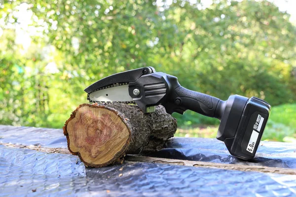 Lichterkettensäge Mit Batterie Steht Neben Abgesägtem Apfelbaum Garten — Stockfoto