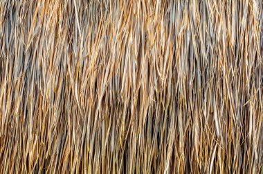 Çatı ya da duvar, saman ya da kuru çimen arka plan