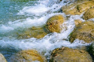 Sudaki kaya taşı nemli yeşil yosunlarla kaplı, seçici odaklı.