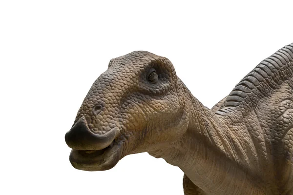 Hadrosaurus Isolerad Vit Bakgrund — Stockfoto