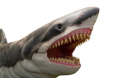 Beyaz arka planda izole edilmiş antik megalodon. Tarih öncesi canavar okyanusta yaşadı.