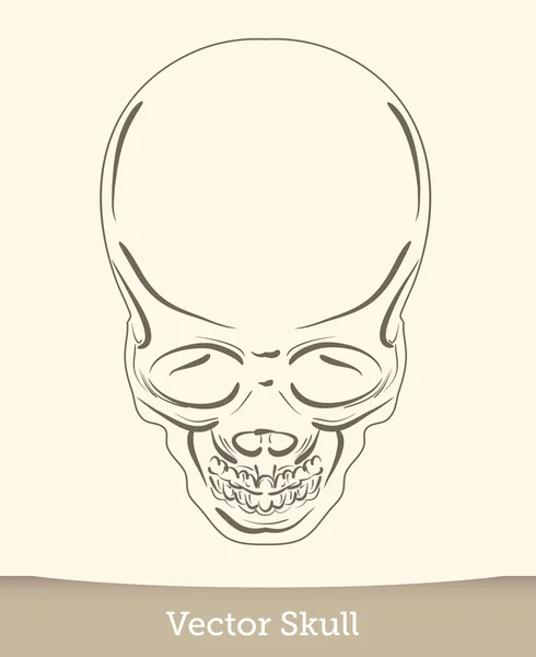 Schädel Illustration isoliert auf weißem Hintergrund. Vektormodus — Stockvektor