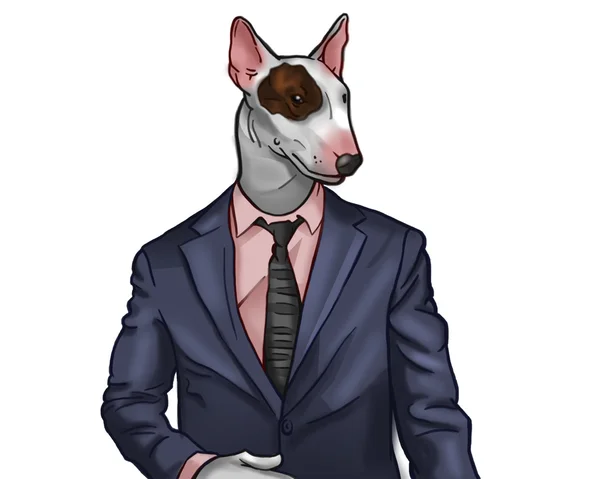 Bullterrier in office suit — Stock Photo, Image