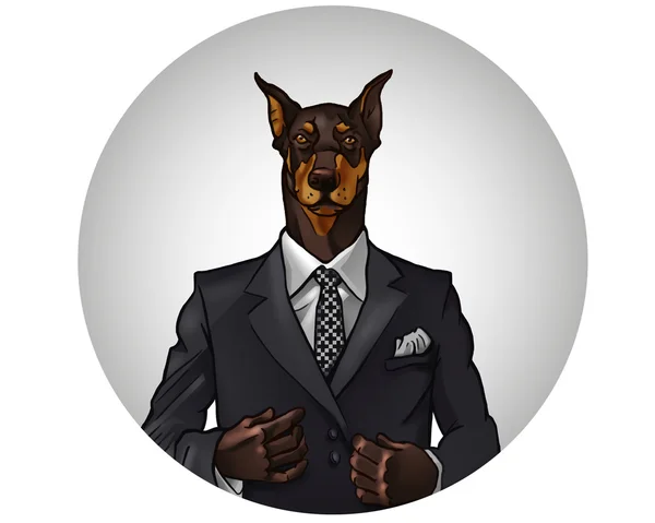 Doberman in office suit — Stock Photo, Image
