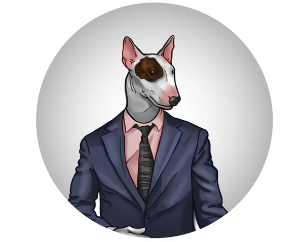 Bullterrier in office suit — Stock Photo, Image