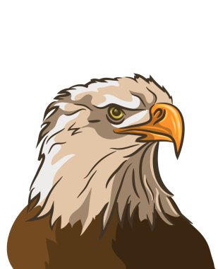 Eagle geïsoleerd op witte achtergrond