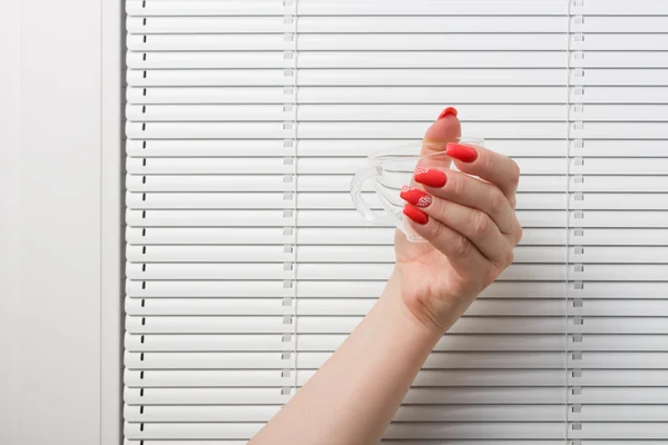 La mano femenina con manicura sostiene una copa de vidrio contra persianas de ventana — Foto de Stock