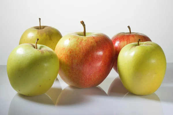 Manzanas multicolores sobre fondo blanco — Foto de Stock