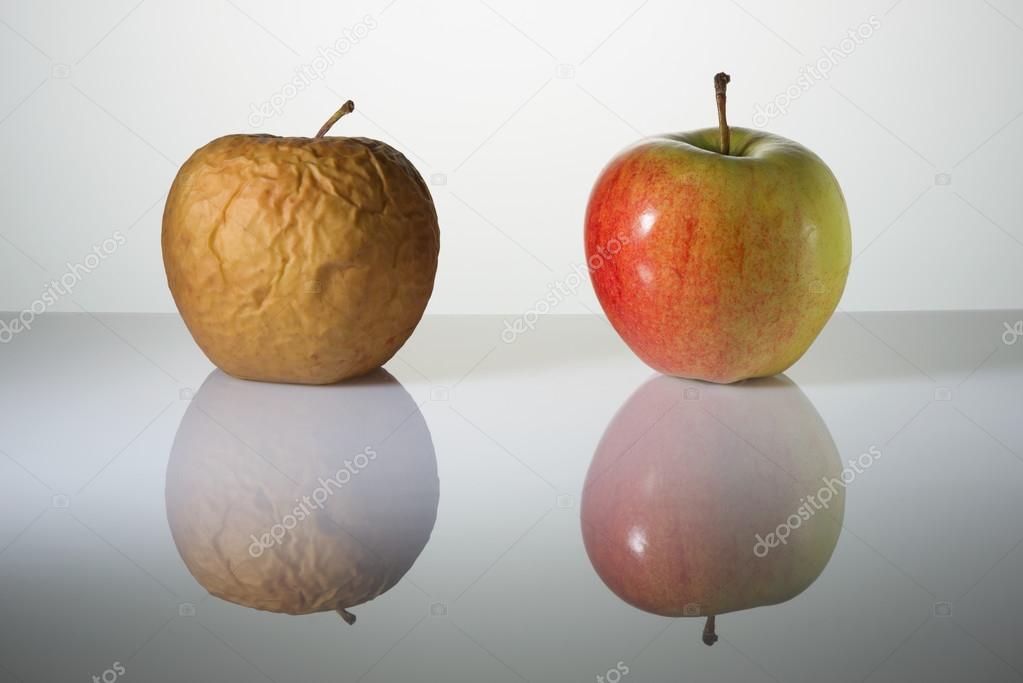Wrinkled and fresh apples on a surface with reflection