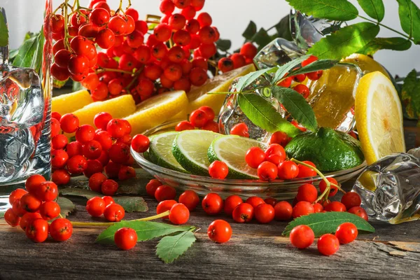 Hegyi kőris bogyós gyümölcsök, ágak, levelek és a vágott citrusfélék jég darabokat a tábla — Stock Fotó