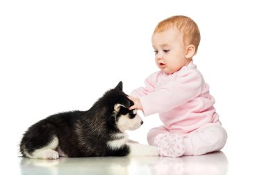 Bir köpek yavrusu husky ile küçük kız