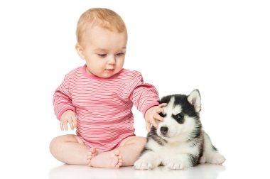 Bir köpek yavrusu husky ile küçük kız