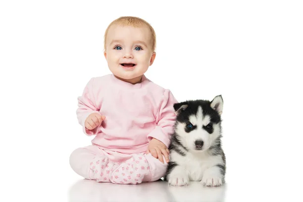 Little girl with a puppy husky — Stock Photo, Image