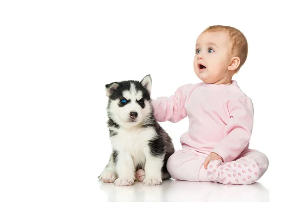 Niña con un cachorro husky —  Fotos de Stock