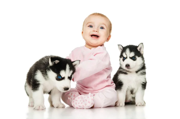 Little girl with a puppy husky — Stock Photo, Image