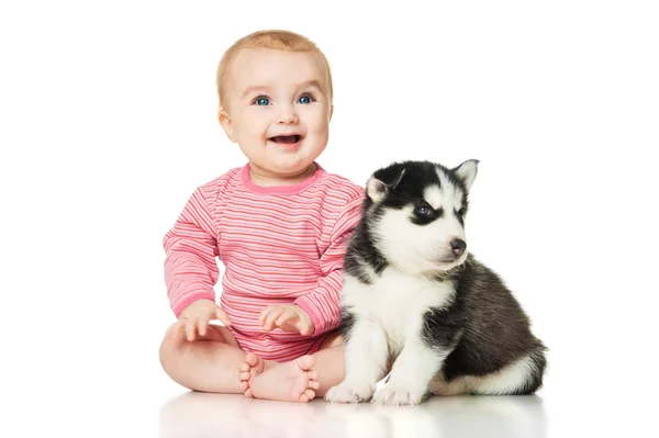 Little girl with a puppy husky — Stock Photo, Image