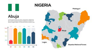 Nijerya haritası. Nijerya bölgeleri şeklinde küresel bir haritanın resmi. Ülke bayrağı.