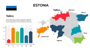 Estonya haritası. Estonya bölgeleri biçiminde küresel bir haritanın vektör görüntüsü. Ülke bayrağı.