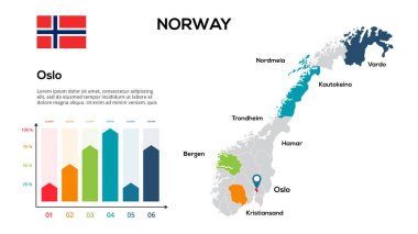 Norveç haritası. Norveç İrlanda bölgeleri biçiminde küresel bir haritanın görüntüsü. Ülke bayrağı.