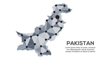 Pakistan iletişim ağı haritası. Şehir ışıklarıyla düşük polyester küresel haritanın vektör görüntüsü.