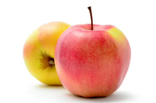 Jonagold beyaz zemin üzerine kırmızı, olgun elma izole — Stok fotoğraf