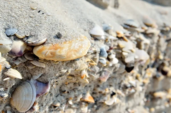 Курган раковин, камней и песка на берегу моря . — стоковое фото