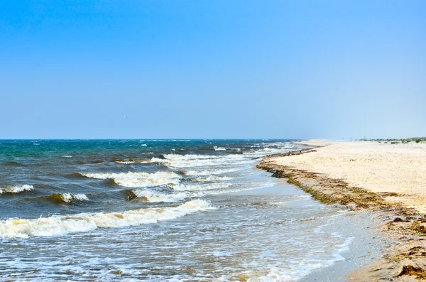 Meereswellen spülten sauberen Strand aus Muscheln. Landschaft an einem wilden Strand. das Meer im Sommer. — Stockfoto