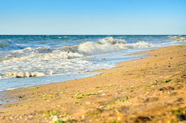 Морські хвилі миють пляж на тлі блакитного неба — стокове фото