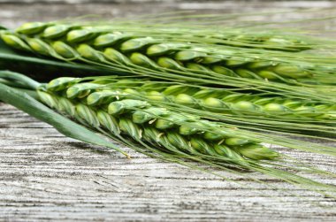 Buğday ahşap zemin üzerine yeşil kulaklar. 