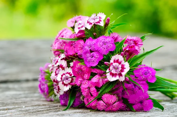 Bouquet of small carnations on a wooden background — Stock Photo, Image