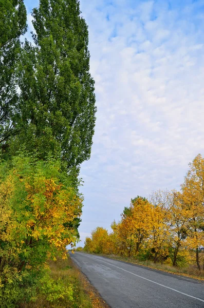 Асфальтовая Дорога Фоне Осенних Деревьев — стоковое фото