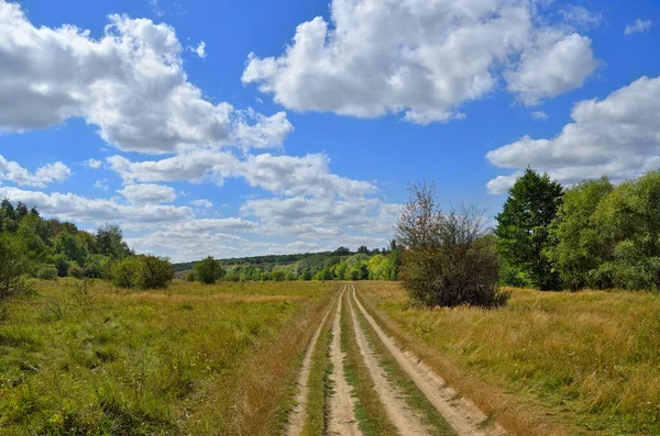 Chemin Sur Une Prairie Verte Contre Ciel Bleu — Photo