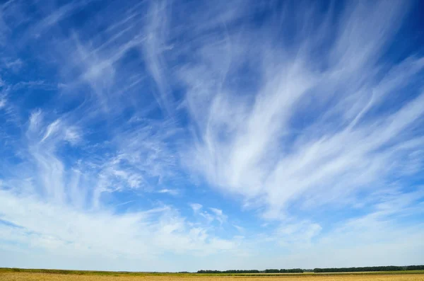 Cielo Blu Nuvole Luminose Panorama Dell Orizzonte Terrestre Immagine Stock