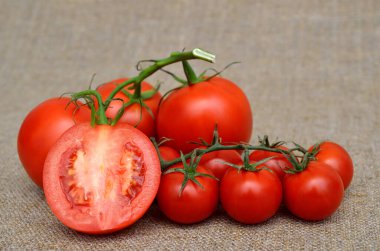 Olgun, taze, kırmızı domatesler kaba bir çuval bezi üzerinde