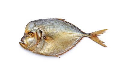 Beyaz arka planda izole edilmiş düz gövdeli pişirilmiş deniz balığı.