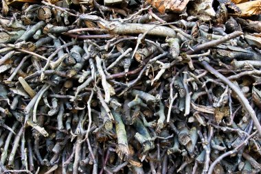 çırpı ve tahta bir yığın yığın kuru