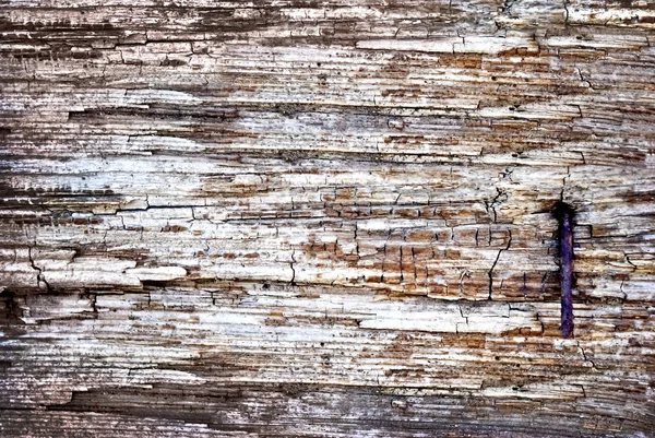 The texture of wood,the old boards with a rusty nail — Stock Photo, Image