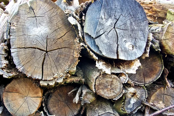 I tronchi e prodotti in legno, che sono stati piegati su un mazzo — Foto Stock